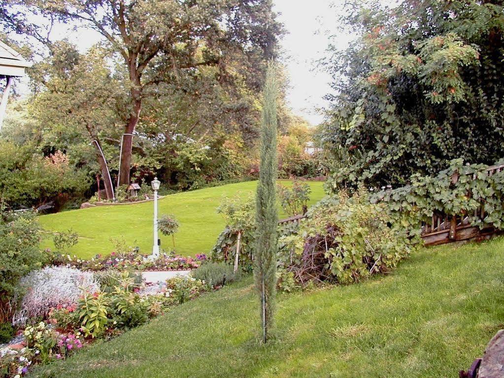 Robin's Nest Bed&Breakfast San Andreas Exterior foto
